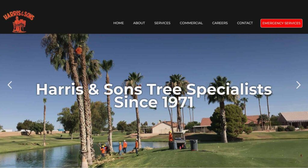 Harris & Sons Tree Specialists Homepage