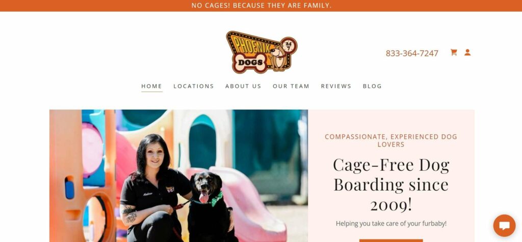 Phoenix Dogs 247 Homepage