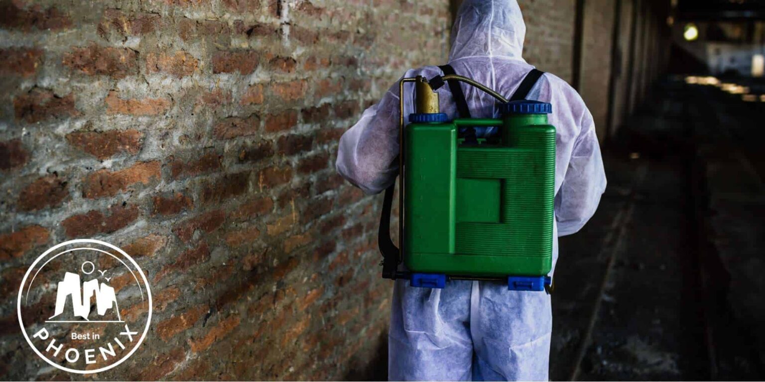 Our Top Picks For Exterminators In Phoenix 2026