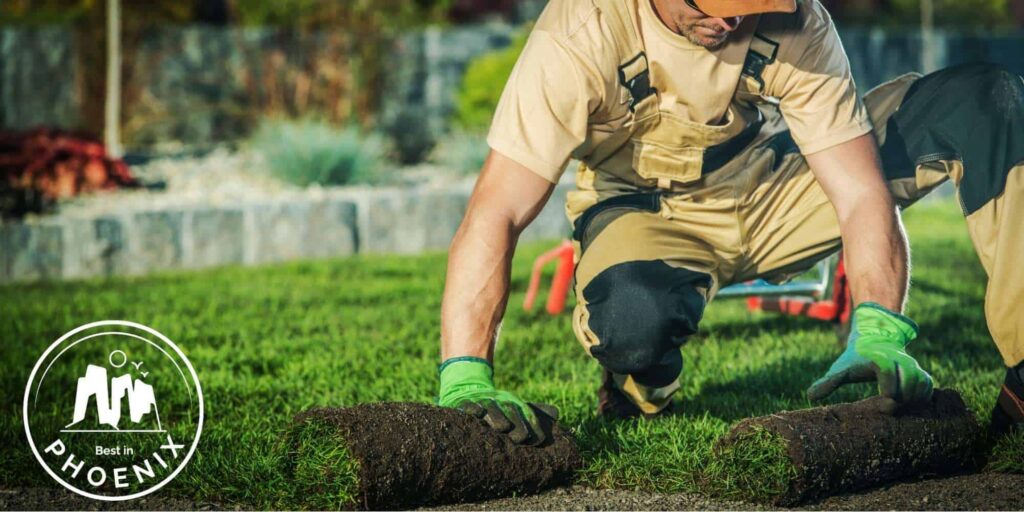 The 5 Best Landscaping Companies in Phoenix