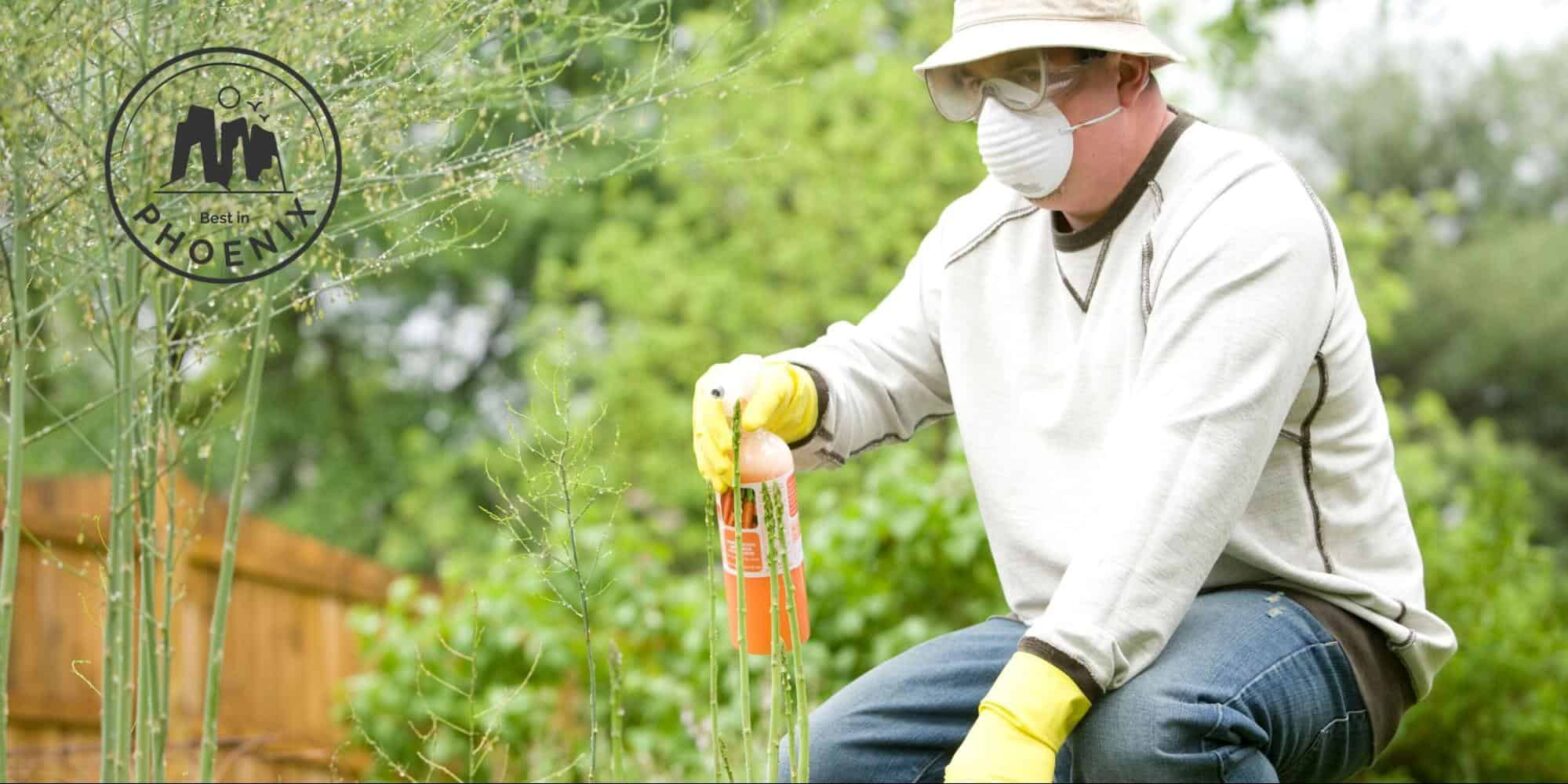 The 8 Best Pest Control Service Providers in Phoenix [2026 ]