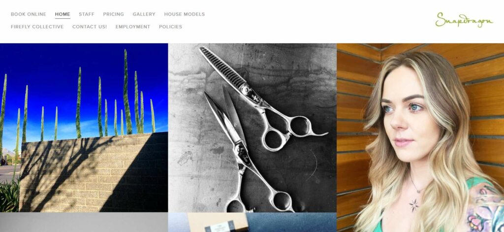 SnapDragon Salon Homepage