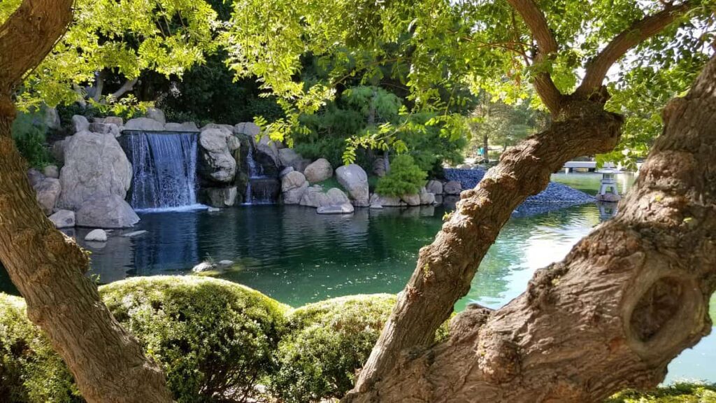 Find zen at the Japanese Friendship Garden