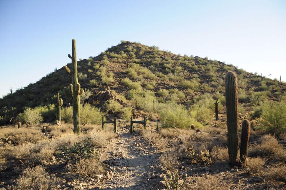 Cat’s Peaks Trail