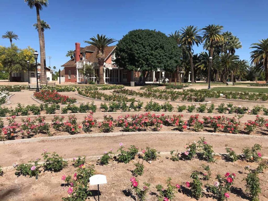 Go on a free guided tour of the Sahuaro Ranch Park