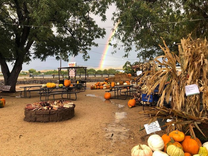 Mortimer Farms