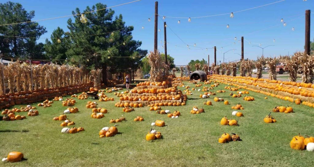 Mother Nature’s Farm