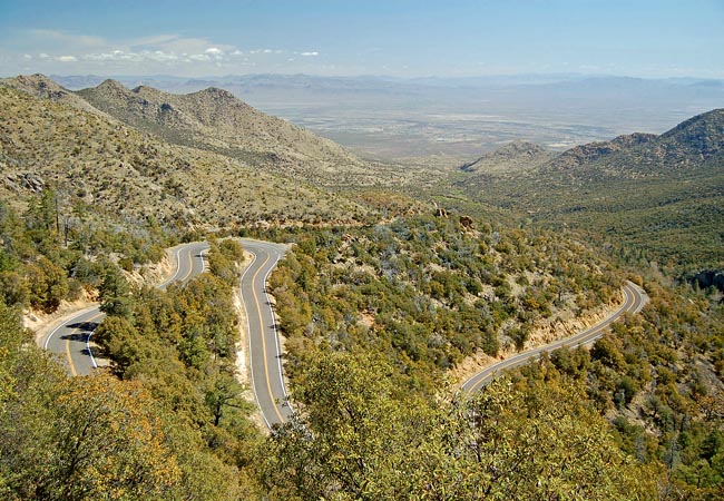 Swift Trail