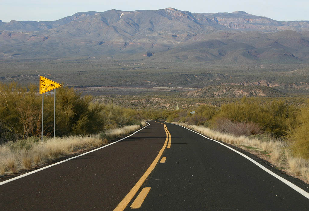 Tall Pines Scenic Road