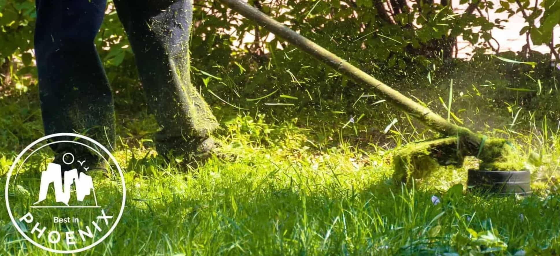 The 5 Best Lawn Care Services in Phoenix
