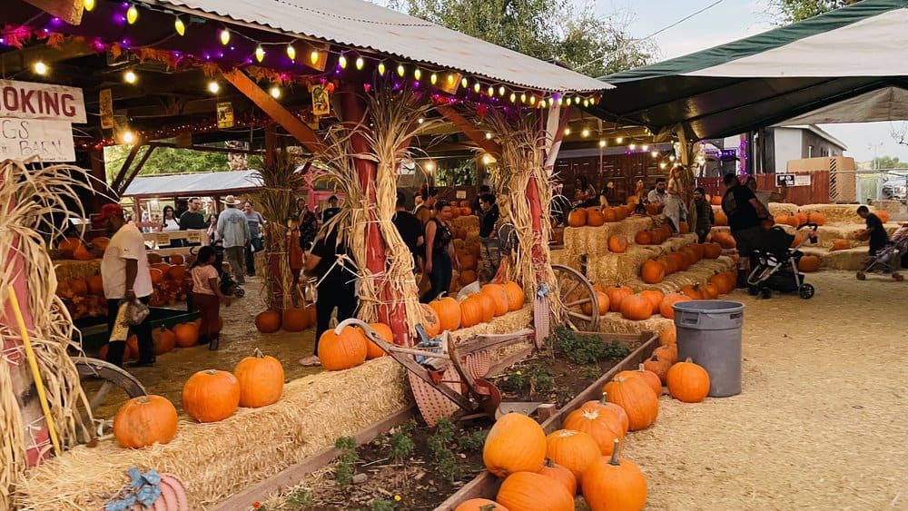 Tolmachoff Farms
