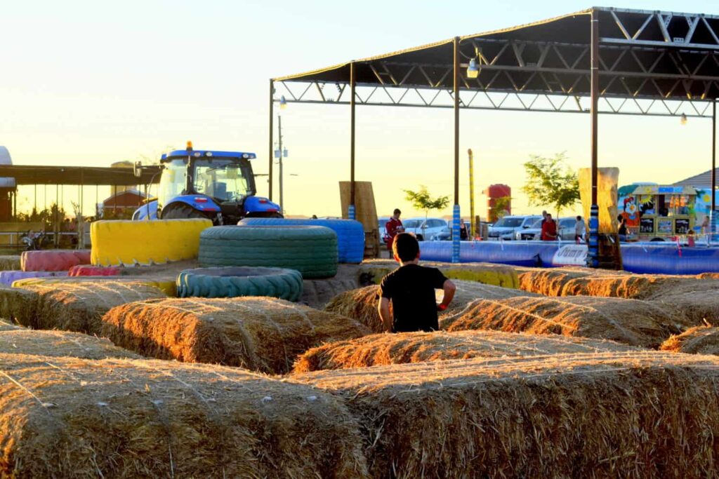 Vertuccio Farms