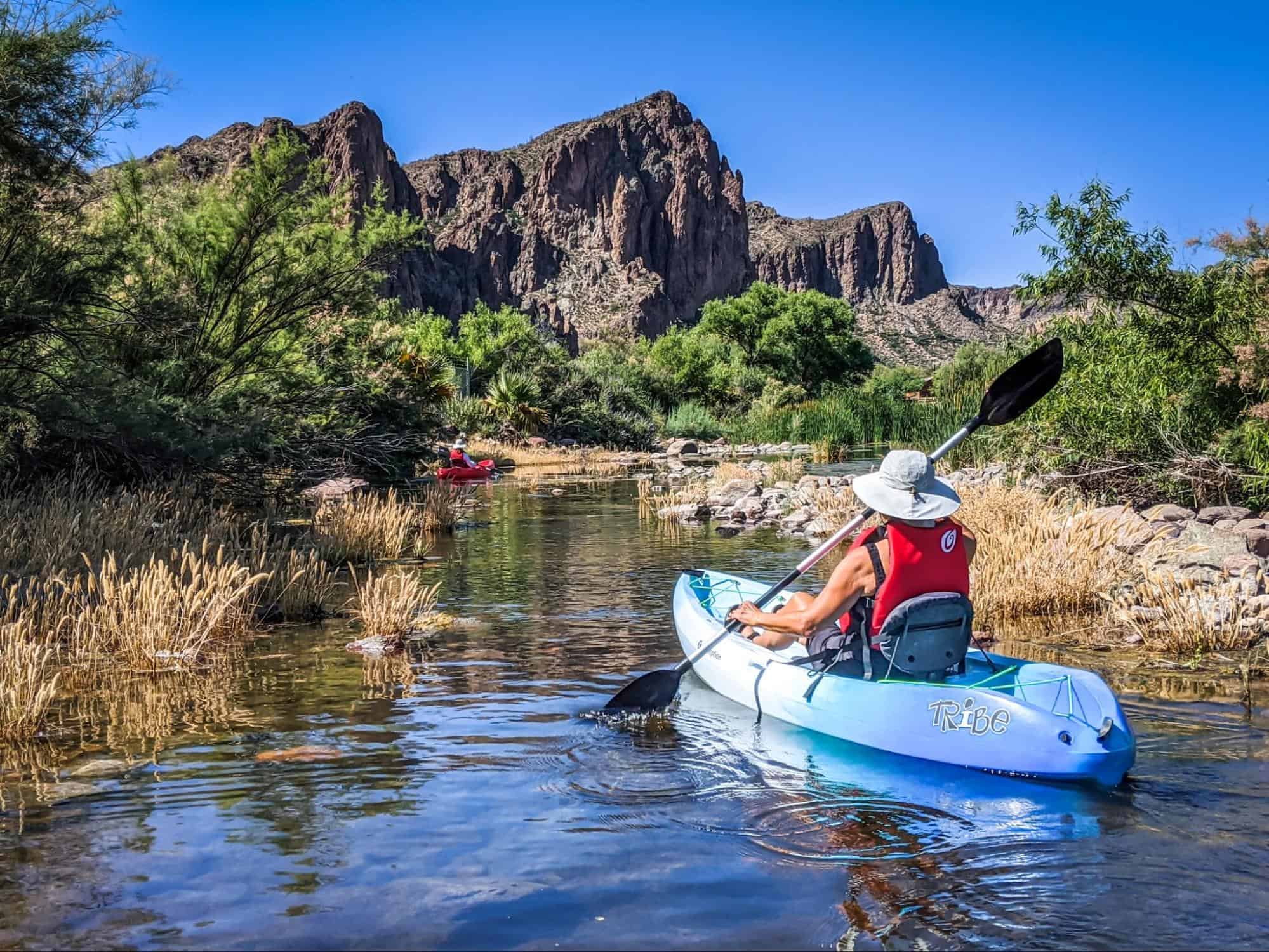 Salt River Arizona: What to Do, Where to Go, and More [2026]
