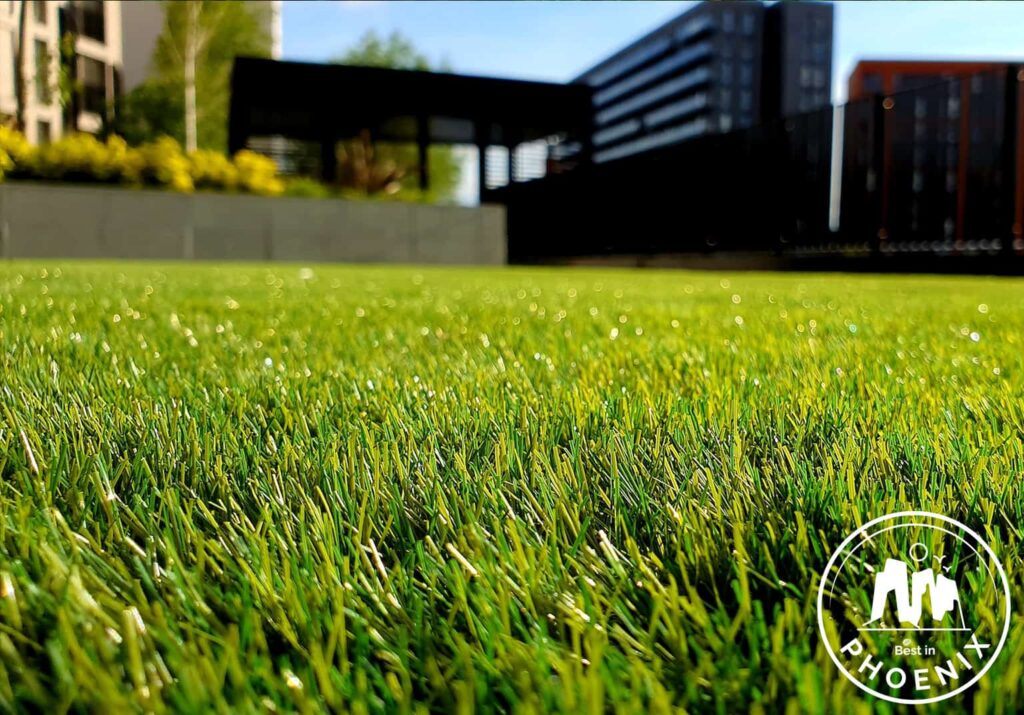The 5 Best Artificial Turf Contractors In Phoenix