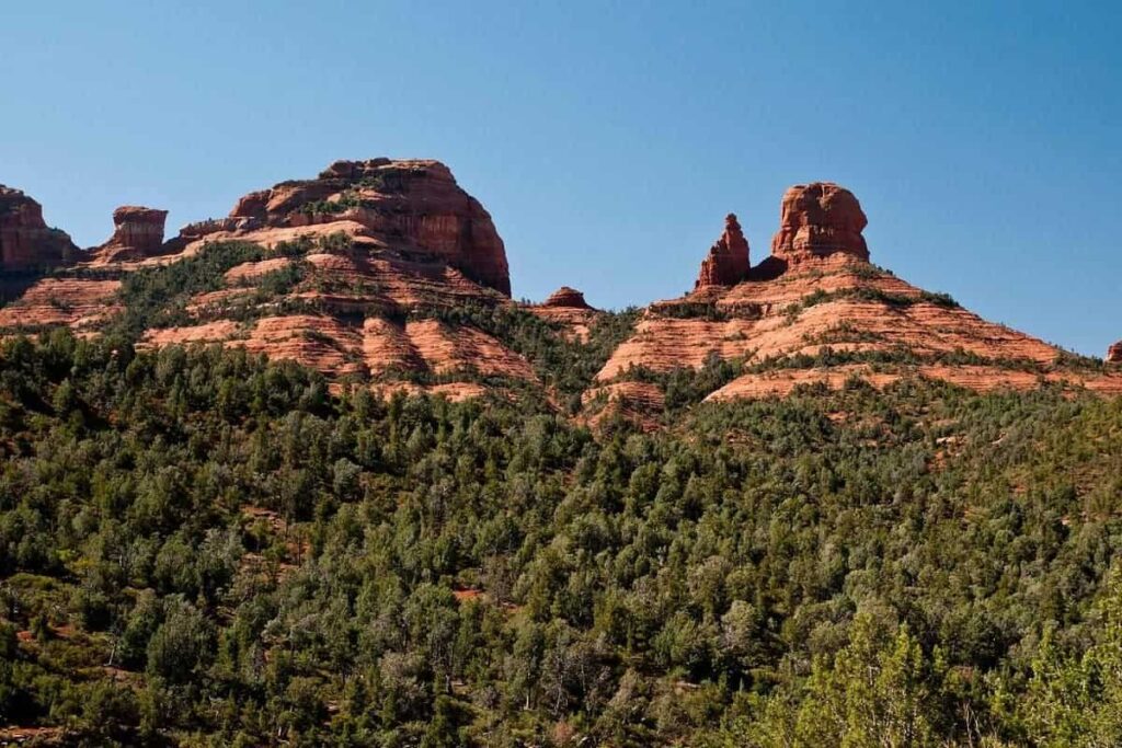 Coconino National Forest