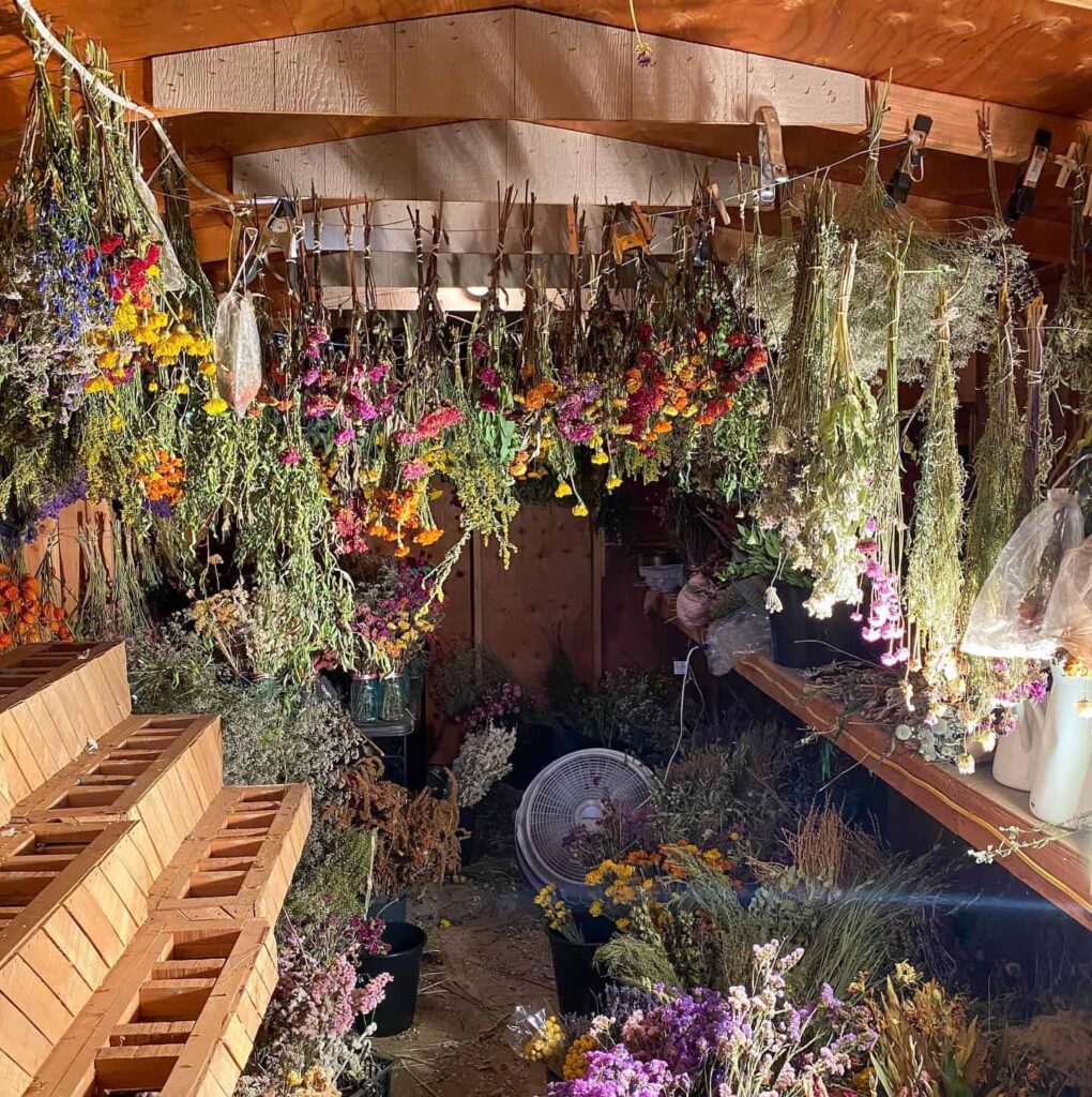 Patagonia Flower Farm