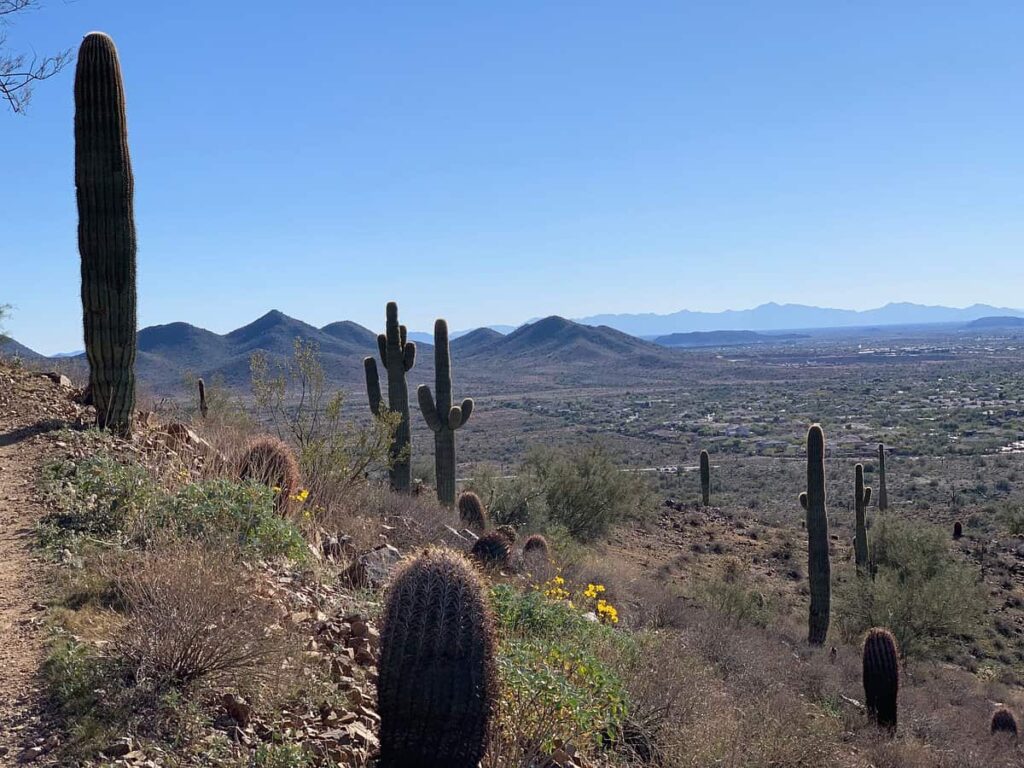 Phoenix Sonoran Preserve