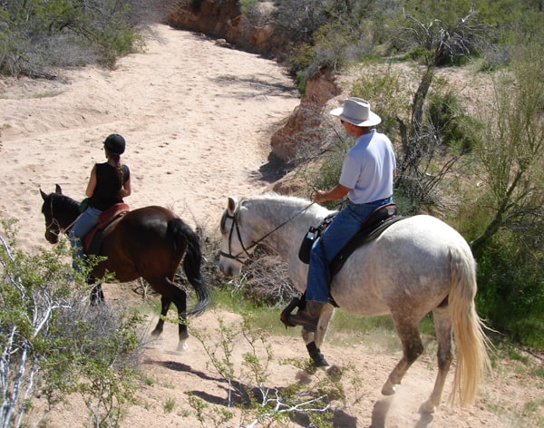 Equitrekking's Homepage