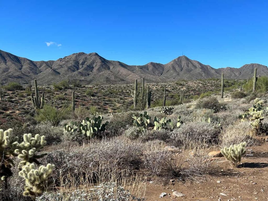 How were the McDowell Mountains formed