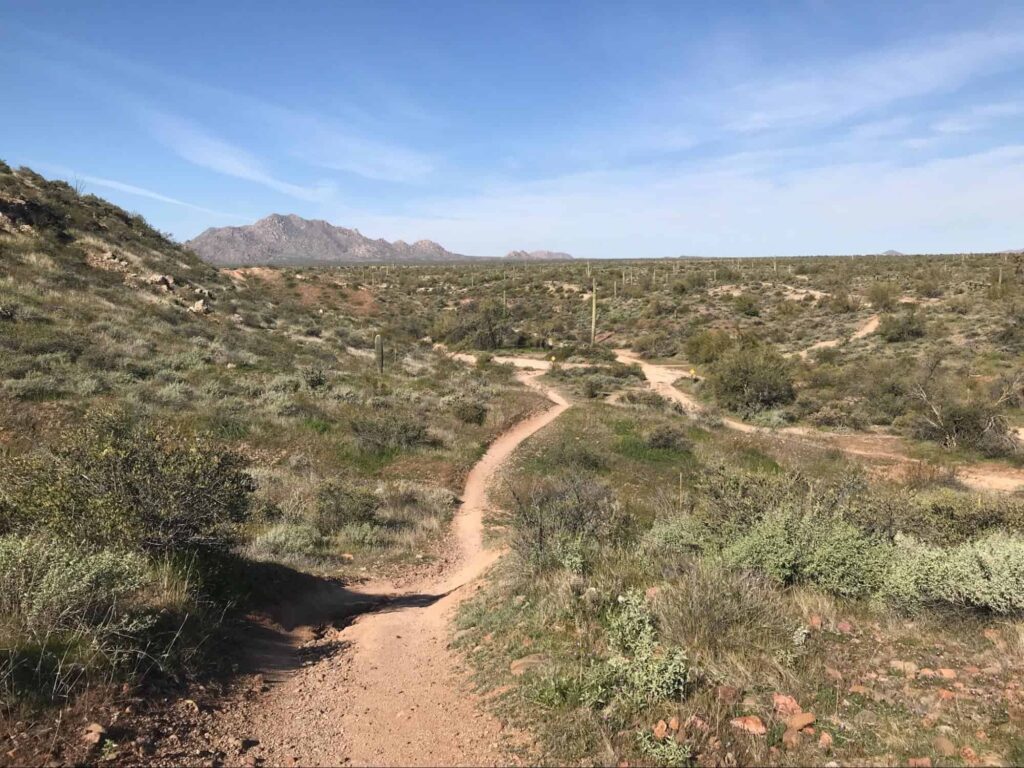Long Loop Trail's Homepage