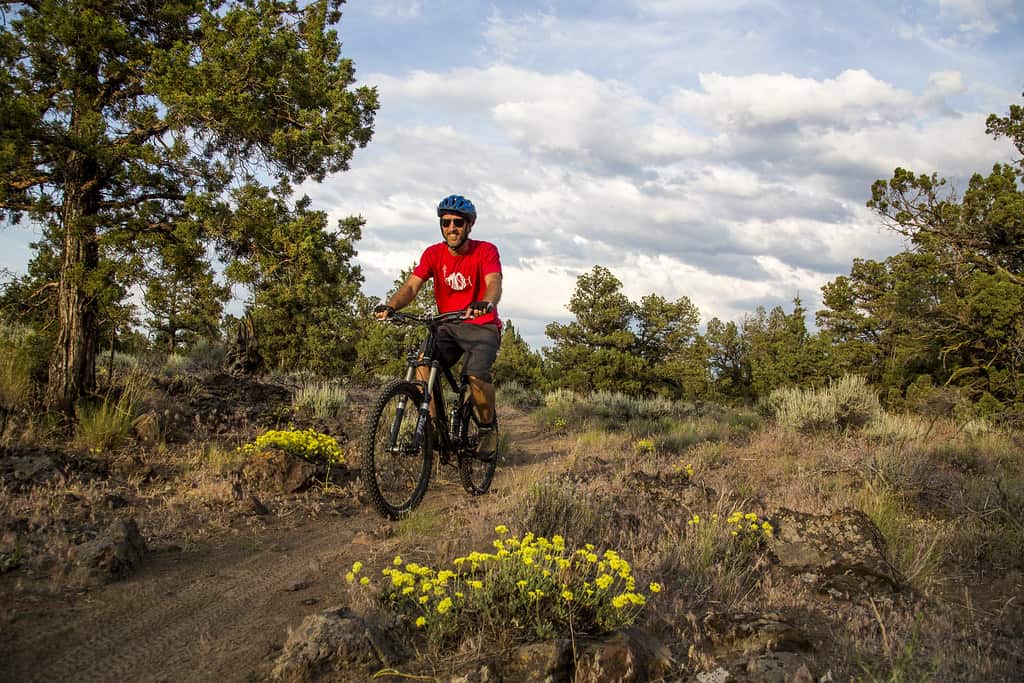 Mountain biking's Homepage