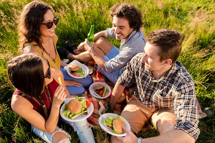 Picnicking's Homepage