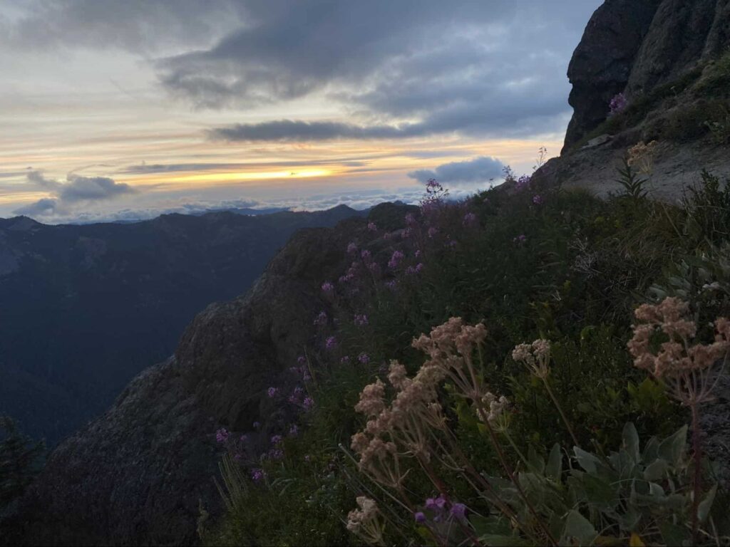 Sunrise Peak Trail's Homepage