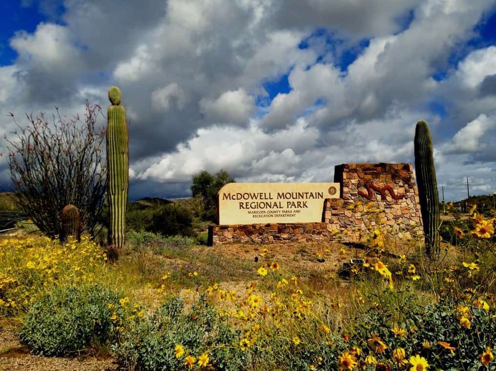 What is on top of the McDowell Mountains