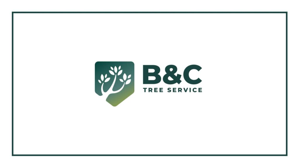 b-c-tree-service