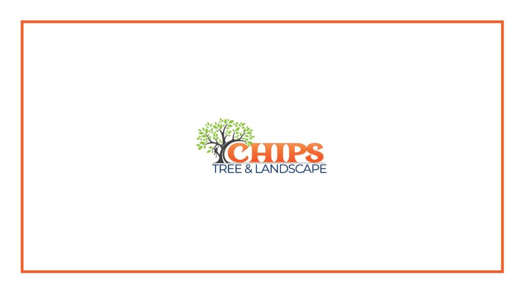 chips-tree-service