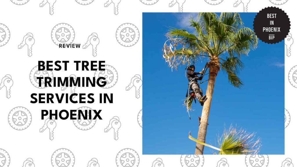 tree-trimming-services-in-phoenix