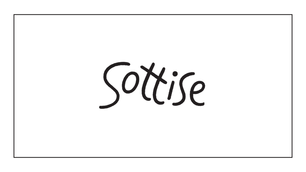 sottise