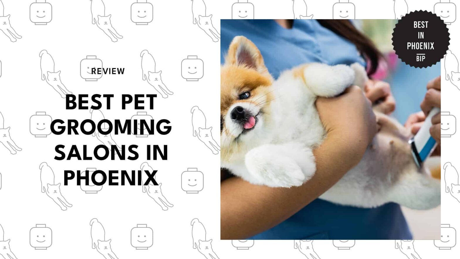 Curated visual reference: Cheap Dog Grooming Salons Reference: 5 Phoenix Pet Grooming Salons To Spoil Your Furry Friend