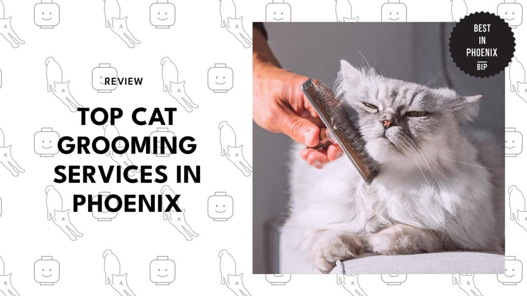 top-cat-grooming-phoenix-banner