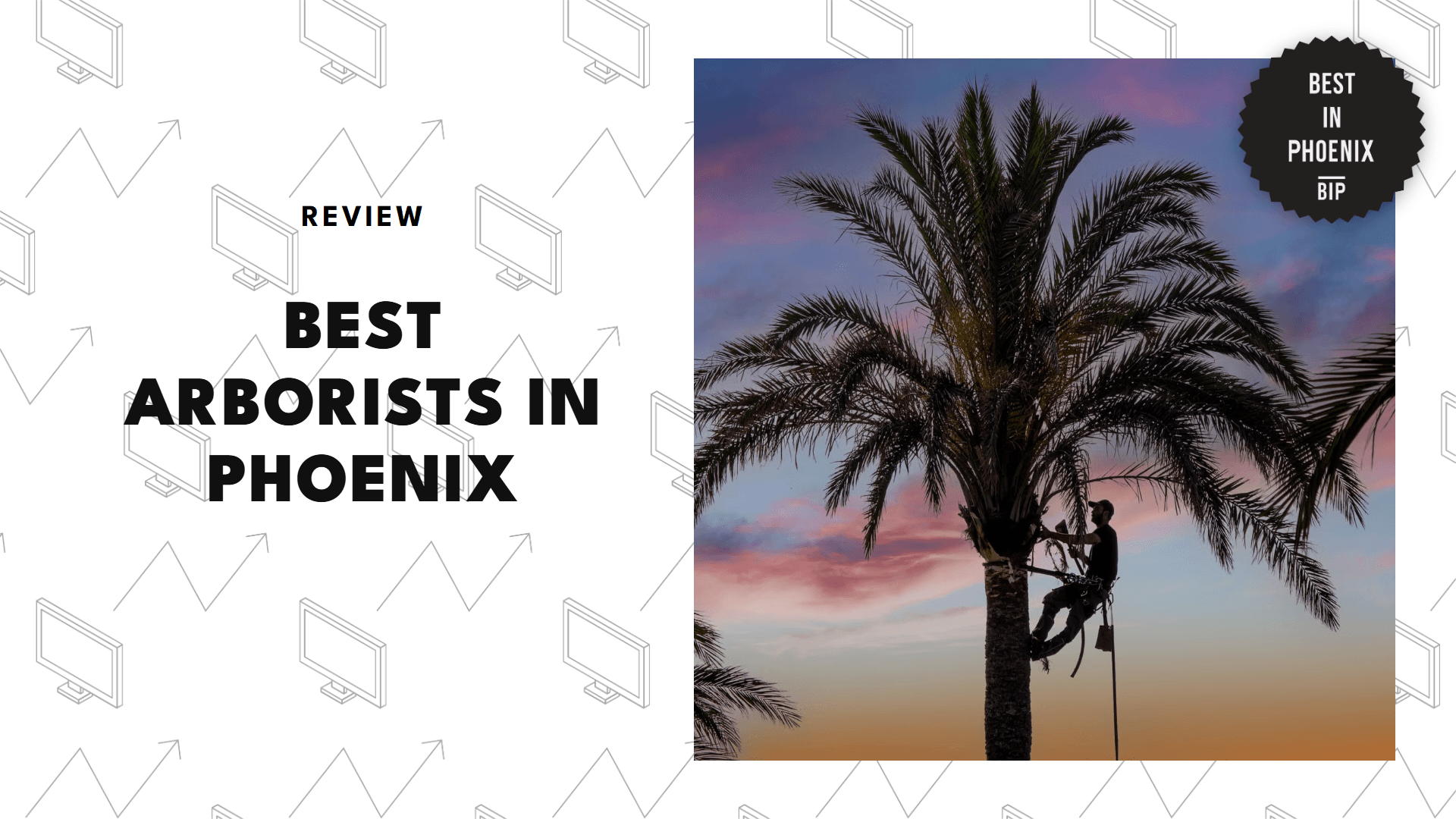 arborists-in-phoenix