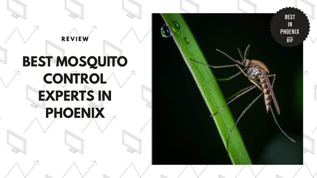 mosquito-control-companies-in-phoenix