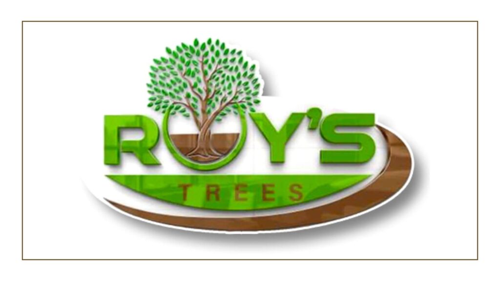 roy-s-trees