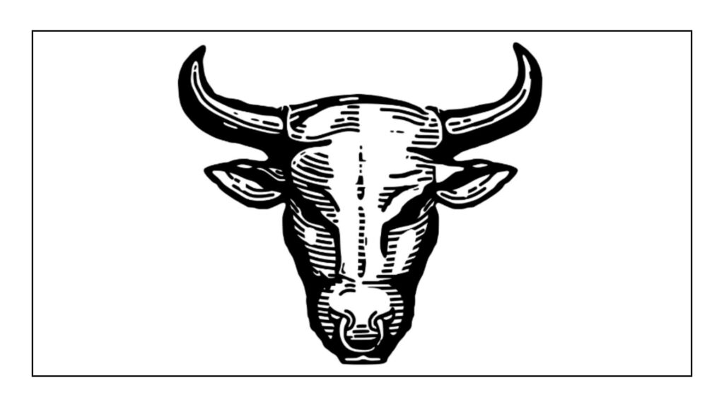 bull-plastering