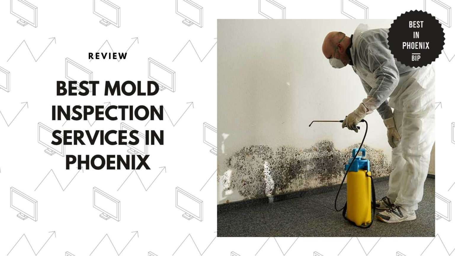 Top 5 Mold Inspection Pros in Phoenix for Clear Answers [2026 ]